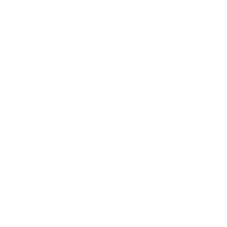 SecureWhite SecureWhite
