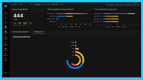 runtime vulnerabilities